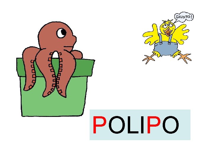 POLIPO 