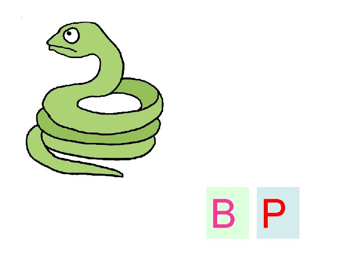 B P 