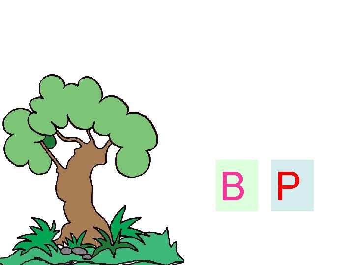 B P 