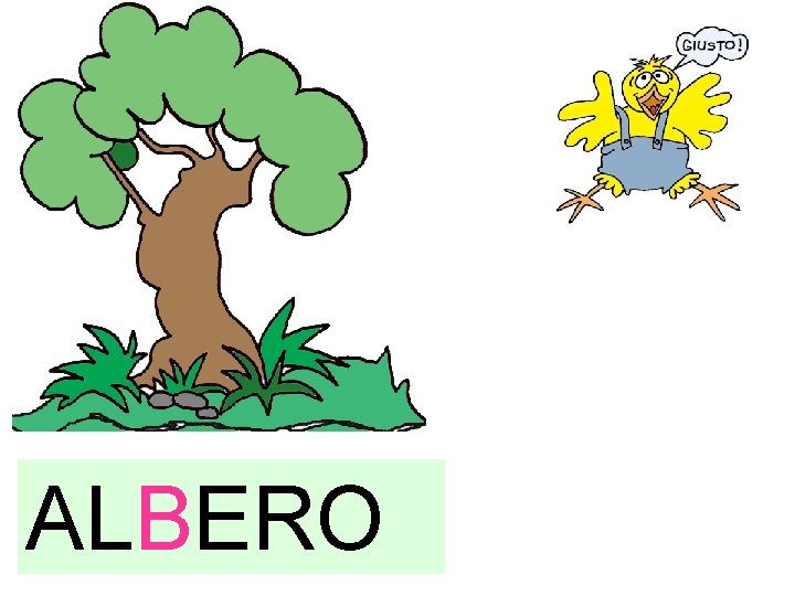 ALBERO 