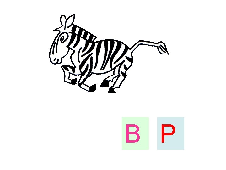 B P 