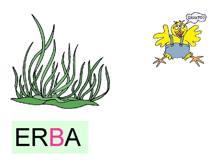 ERBA 