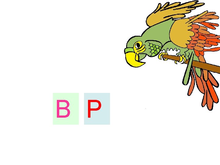 B P 