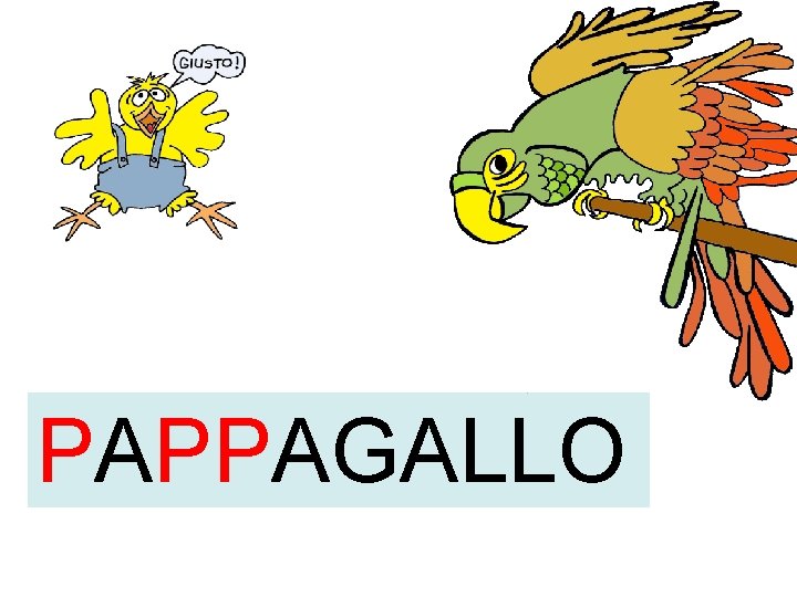 PAPPAGALLO 