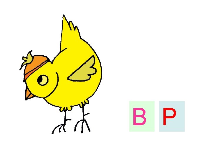 B P 