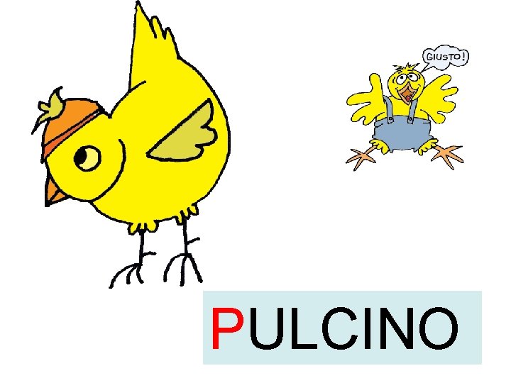 PULCINO 