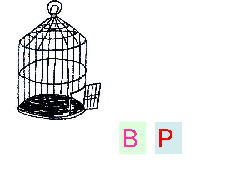 B P 