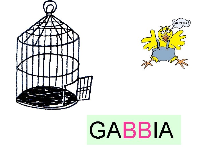 GABBIA 