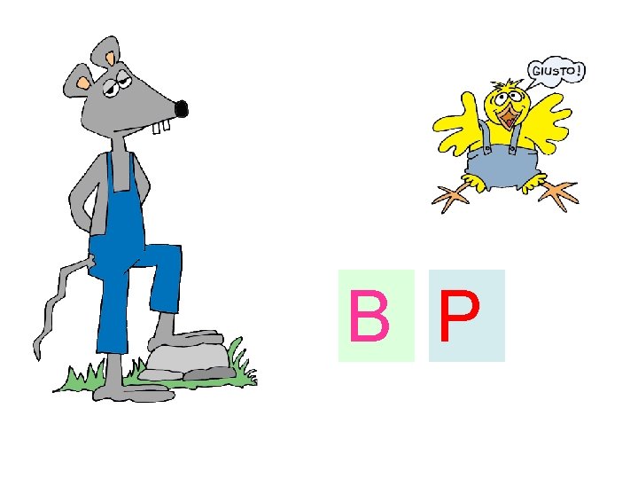 B P 