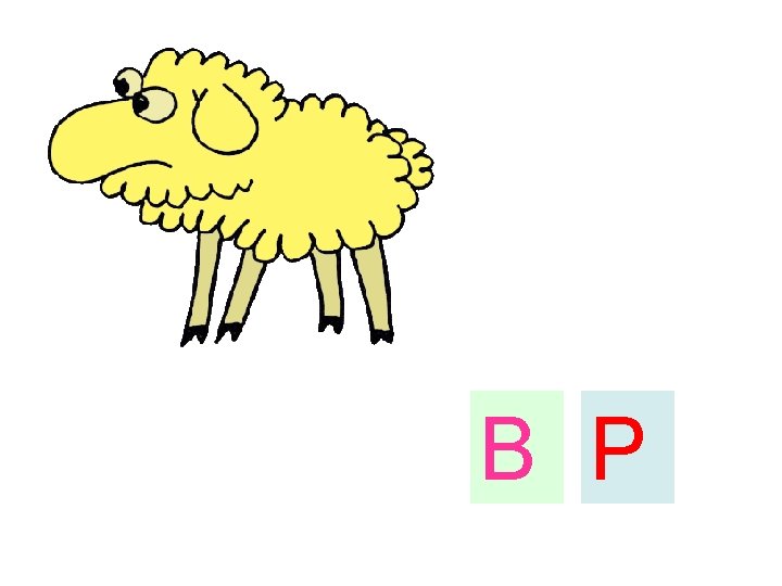 B P 