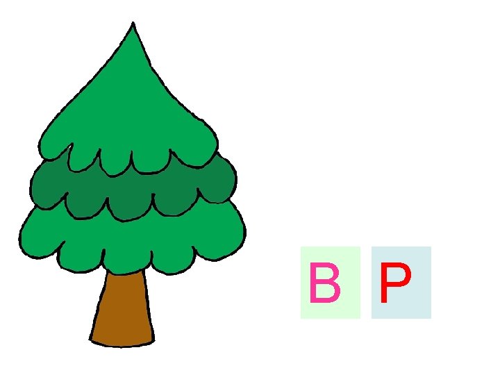 B P 