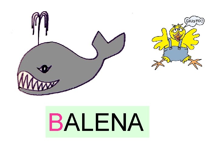 BALENA 