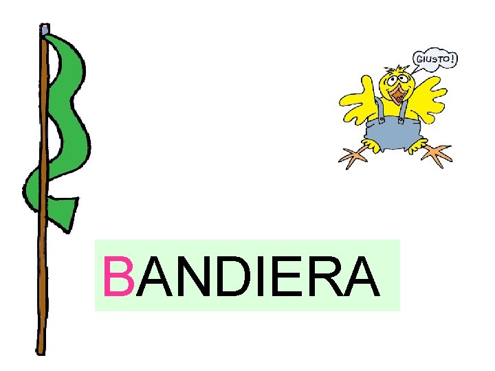BANDIERA 