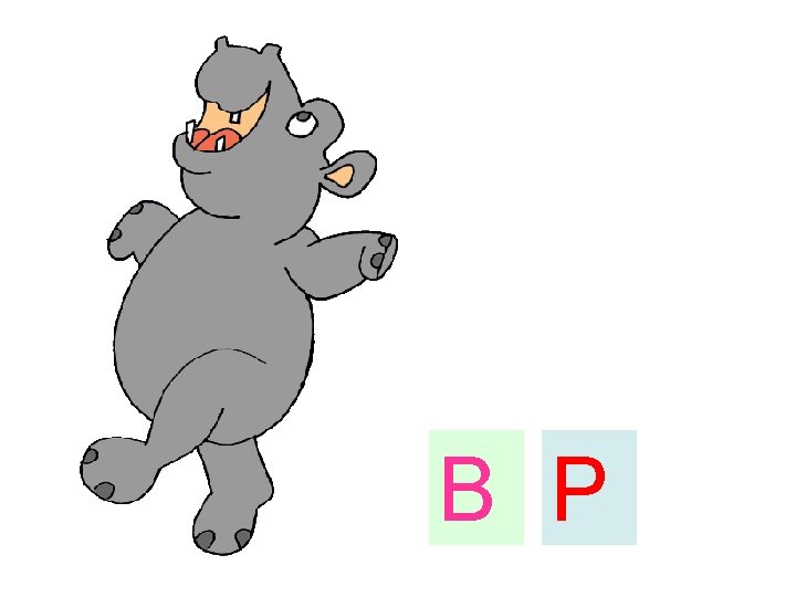 B P 