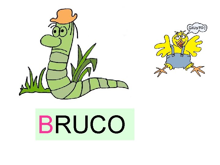 BRUCO 