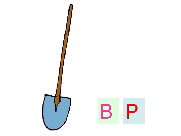 B P 