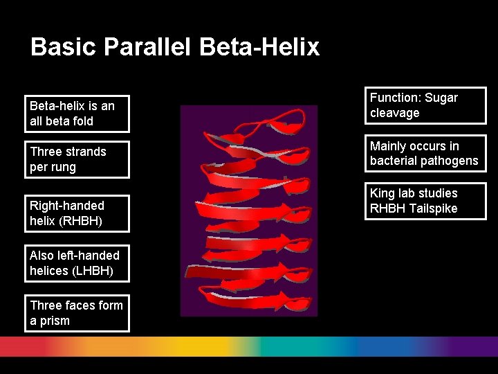 Basic Parallel Beta-Helix Beta-helix is an all beta fold Three strands per rung Right-handed