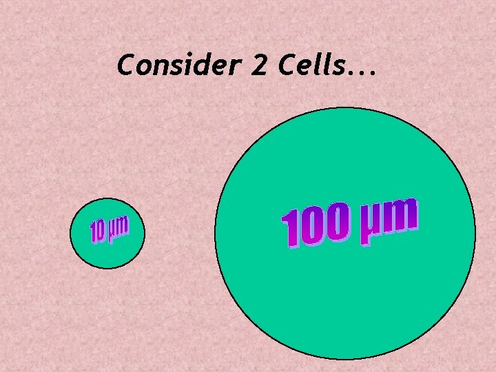 Consider 2 Cells. . . 