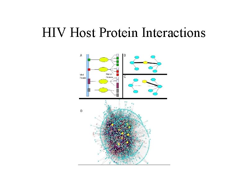HIV Host Protein Interactions 