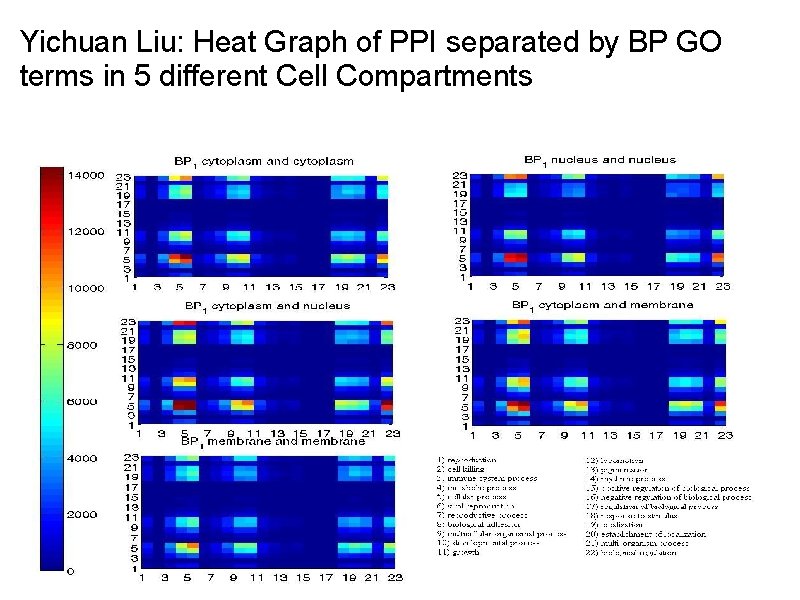 Yichuan Liu: Heat Graph of PPI separated by BP GO terms in 5 different