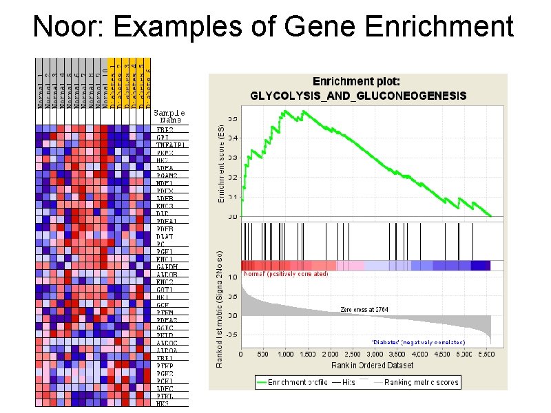 Noor: Examples of Gene Enrichment 