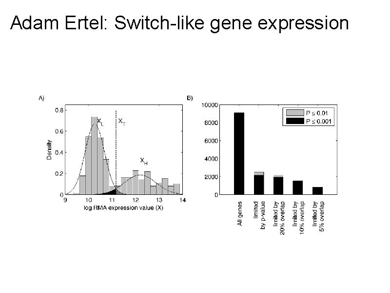 Adam Ertel: Switch-like gene expression 