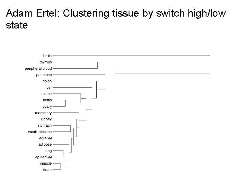 Adam Ertel: Clustering tissue by switch high/low state 