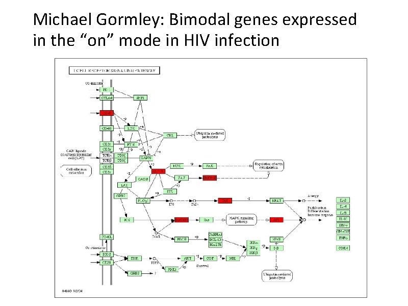 Michael Gormley: Bimodal genes expressed in the “on” mode in HIV infection 