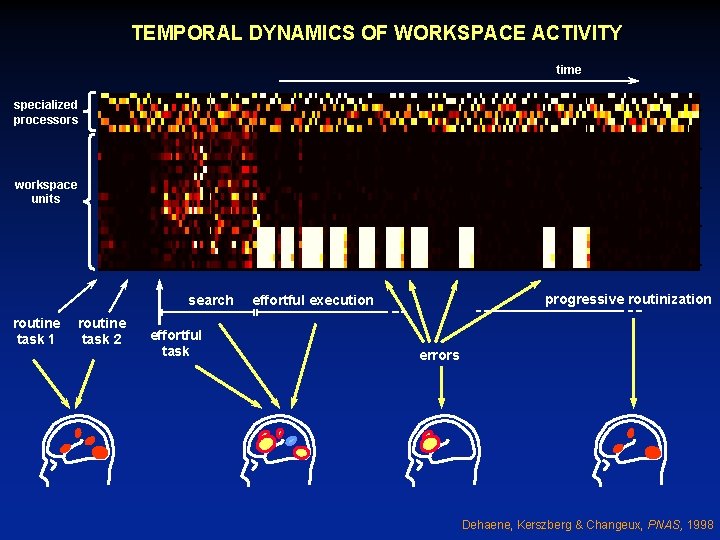 TEMPORAL DYNAMICS OF WORKSPACE ACTIVITY time 50 specialized processors 100 150 200 workspace units