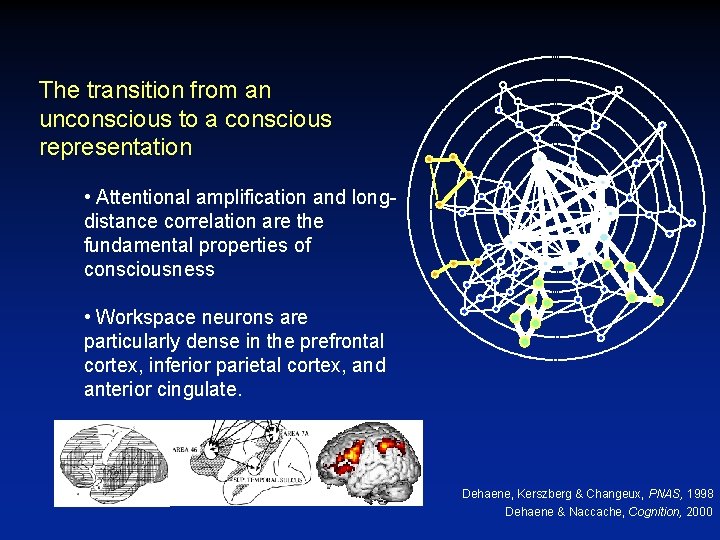 The transition from an unconscious to a conscious representation • Attentional amplification and longdistance