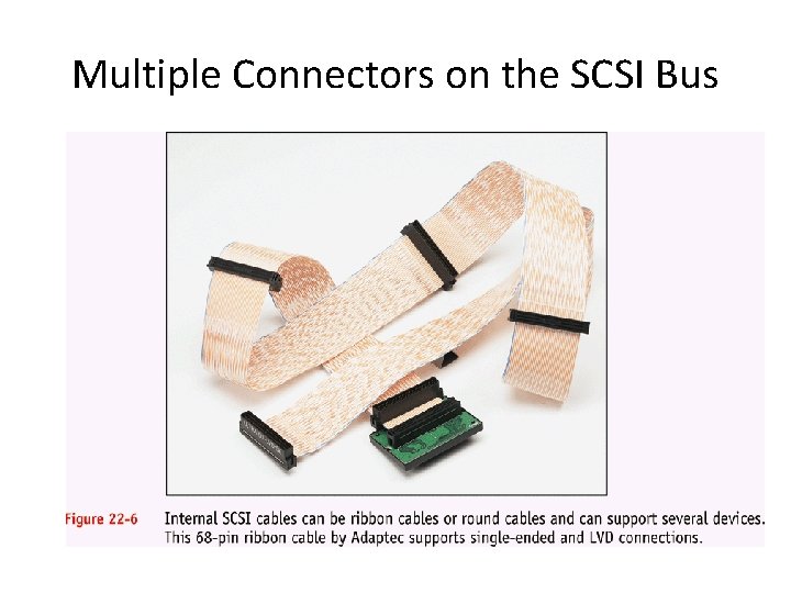 Multiple Connectors on the SCSI Bus 