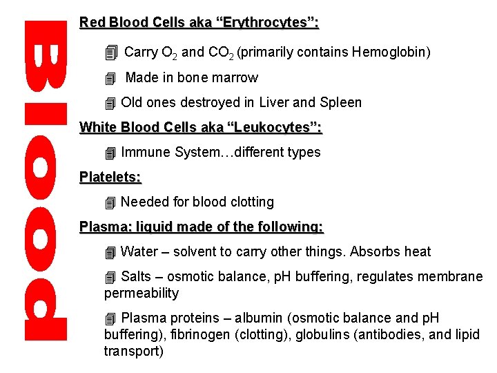 Red Blood Cells aka “Erythrocytes”: 4 Carry O 2 and CO 2 (primarily contains