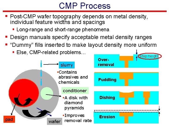 CMP Process § Post-CMP wafer topography depends on metal density, individual feature widths and