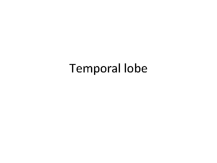 Temporal lobe 