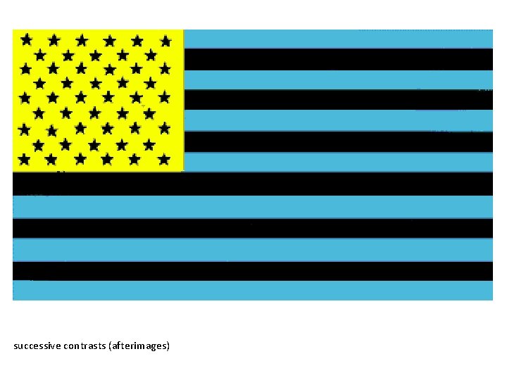 successive contrasts (afterimages) 