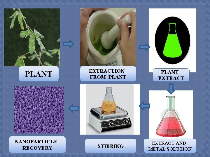 PLANT NANOPARTICLE RECOVERY EXTRACTION FROM PLANT STIRRING PLANT EXTRACT AND METAL SOLUTION 