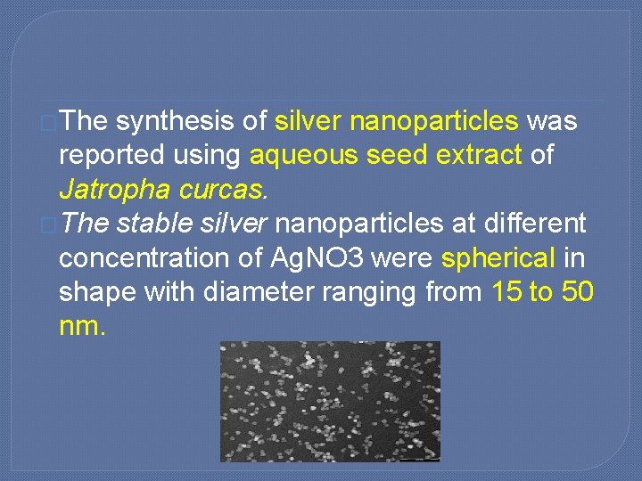 �The synthesis of silver nanoparticles was reported using aqueous seed extract of Jatropha curcas.