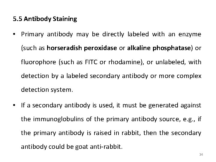5. 5 Antibody Staining • Primary antibody may be directly labeled with an enzyme