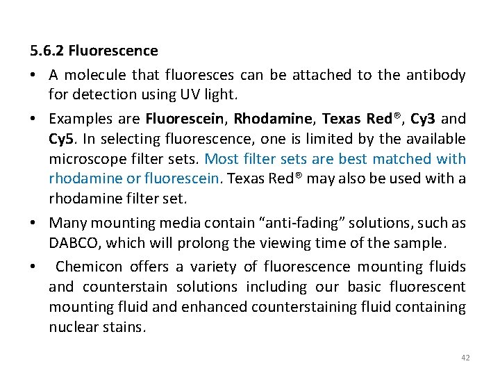 5. 6. 2 Fluorescence • A molecule that fluoresces can be attached to the