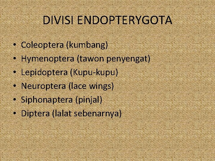 DIVISI ENDOPTERYGOTA • • • Coleoptera (kumbang) Hymenoptera (tawon penyengat) Lepidoptera (Kupu-kupu) Neuroptera (lace