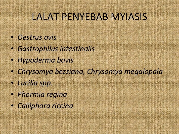 LALAT PENYEBAB MYIASIS • • Oestrus ovis Gastrophilus intestinalis Hypoderma bovis Chrysomya bezziana, Chrysomya