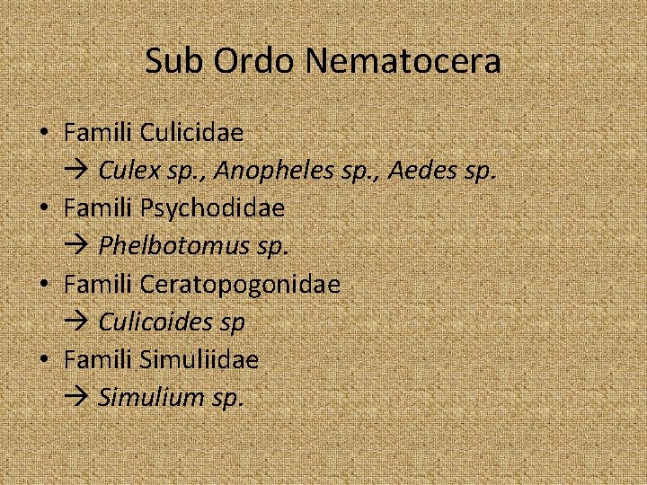 Sub Ordo Nematocera • Famili Culicidae Culex sp. , Anopheles sp. , Aedes sp.