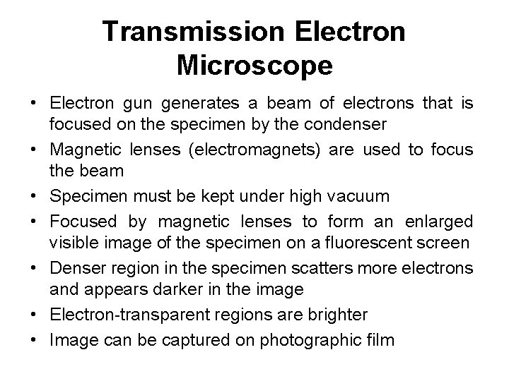 Transmission Electron Microscope • Electron gun generates a beam of electrons that is focused