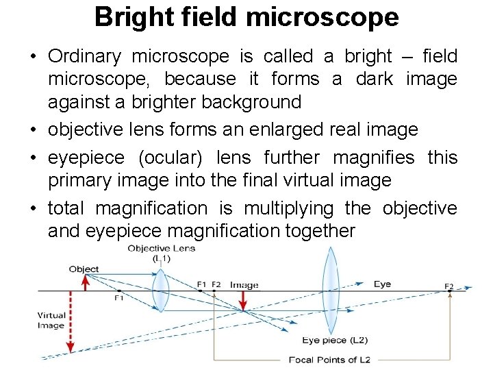 Bright field microscope • Ordinary microscope is called a bright – field microscope, because