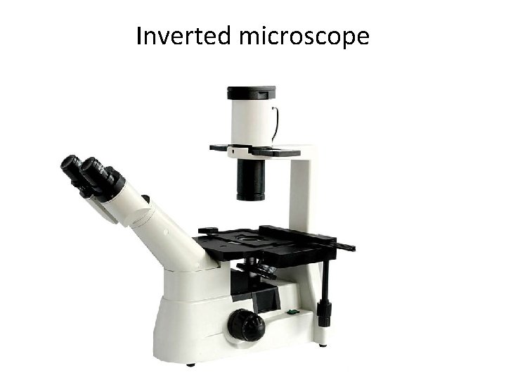 Inverted microscope 