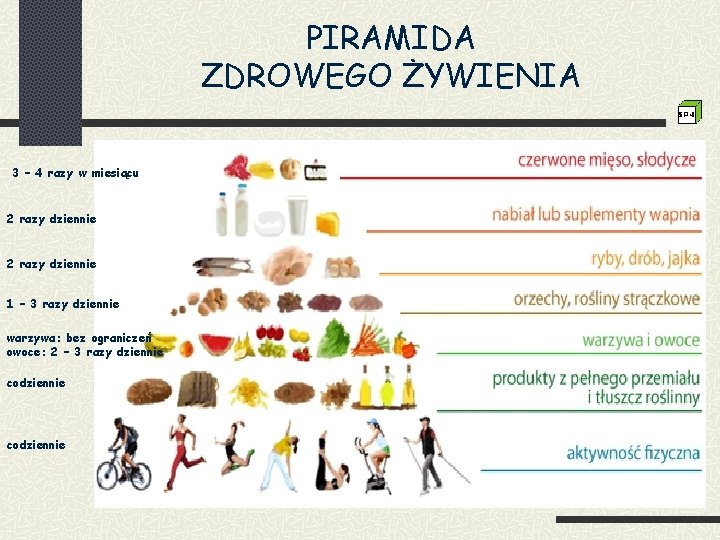 PIRAMIDA ZDROWEGO ŻYWIENIA 3 – 4 razy w miesiącu 2 razy dziennie 1 –