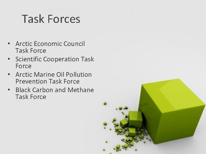 Task Forces • Arctic Economic Council Task Force • Scientific Cooperation Task Force •