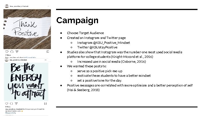 Campaign ● ● ● Choose Target Audience Created an Instagram and Twitter page ○