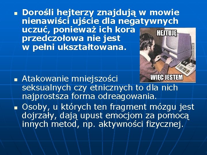 n n n Dorośli hejterzy znajdują w mowie nienawiści ujście dla negatywnych uczuć, ponieważ