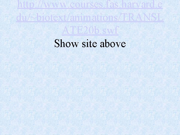 http: //www. courses. fas. harvard. e du/~biotext/animations/TRANSL ATE 20 b. swf Show site above